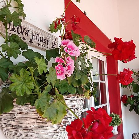 Quinta Da Mainha - Charming Houses - Escape To Nature Braga Esterno foto