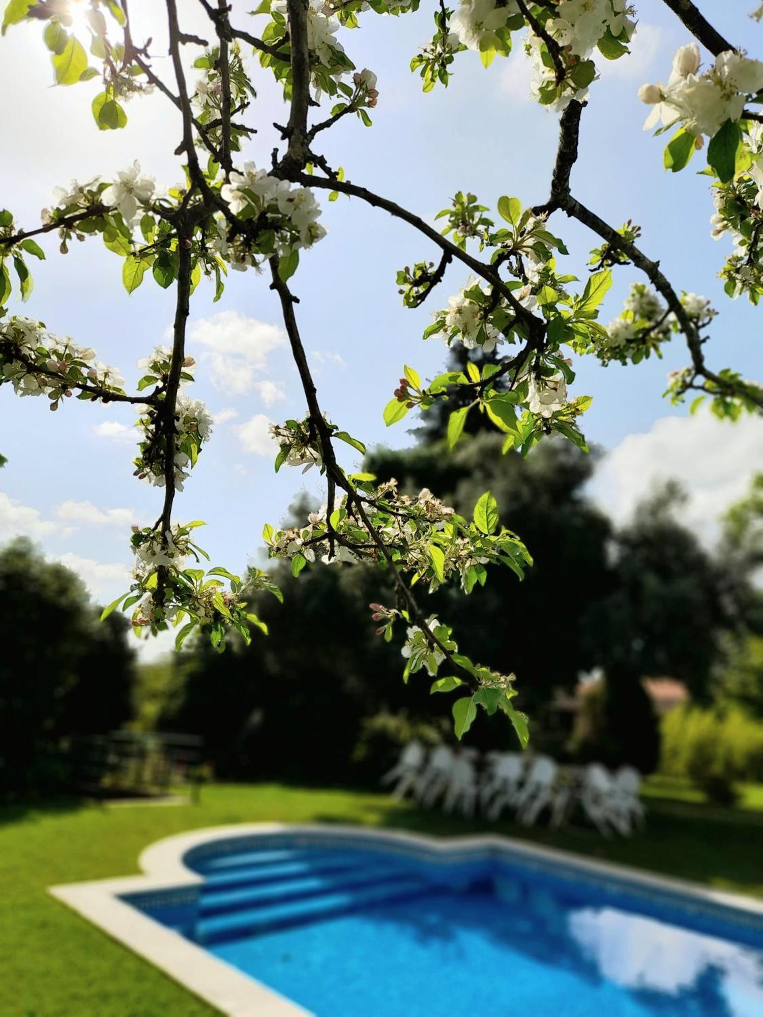 Quinta Da Mainha - Charming Houses - Escape To Nature Braga Esterno foto