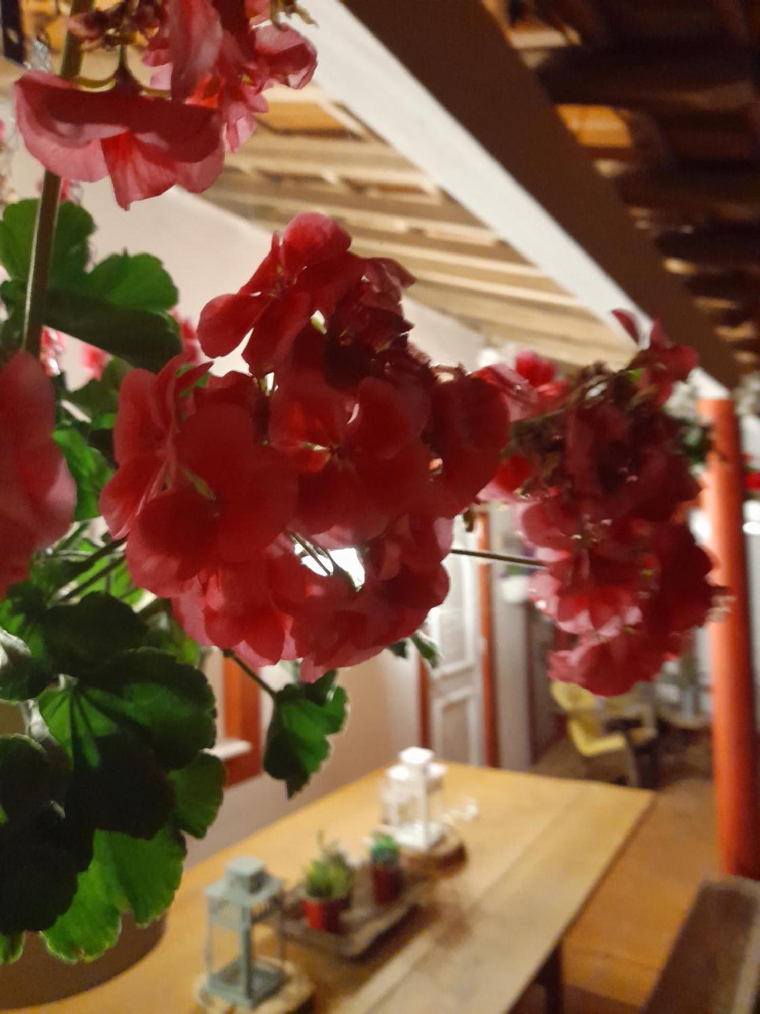 Quinta Da Mainha - Charming Houses - Escape To Nature Braga Esterno foto