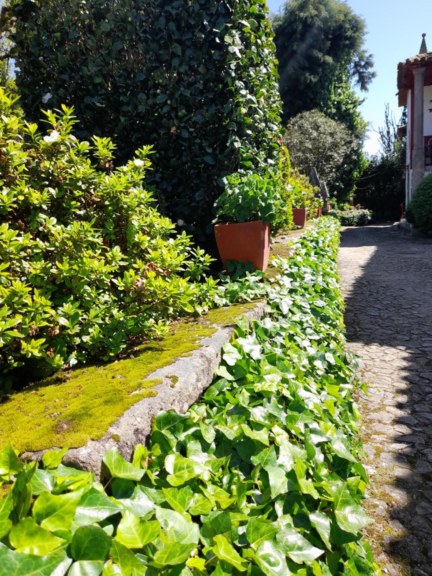 Quinta Da Mainha - Charming Houses Braga Esterno foto