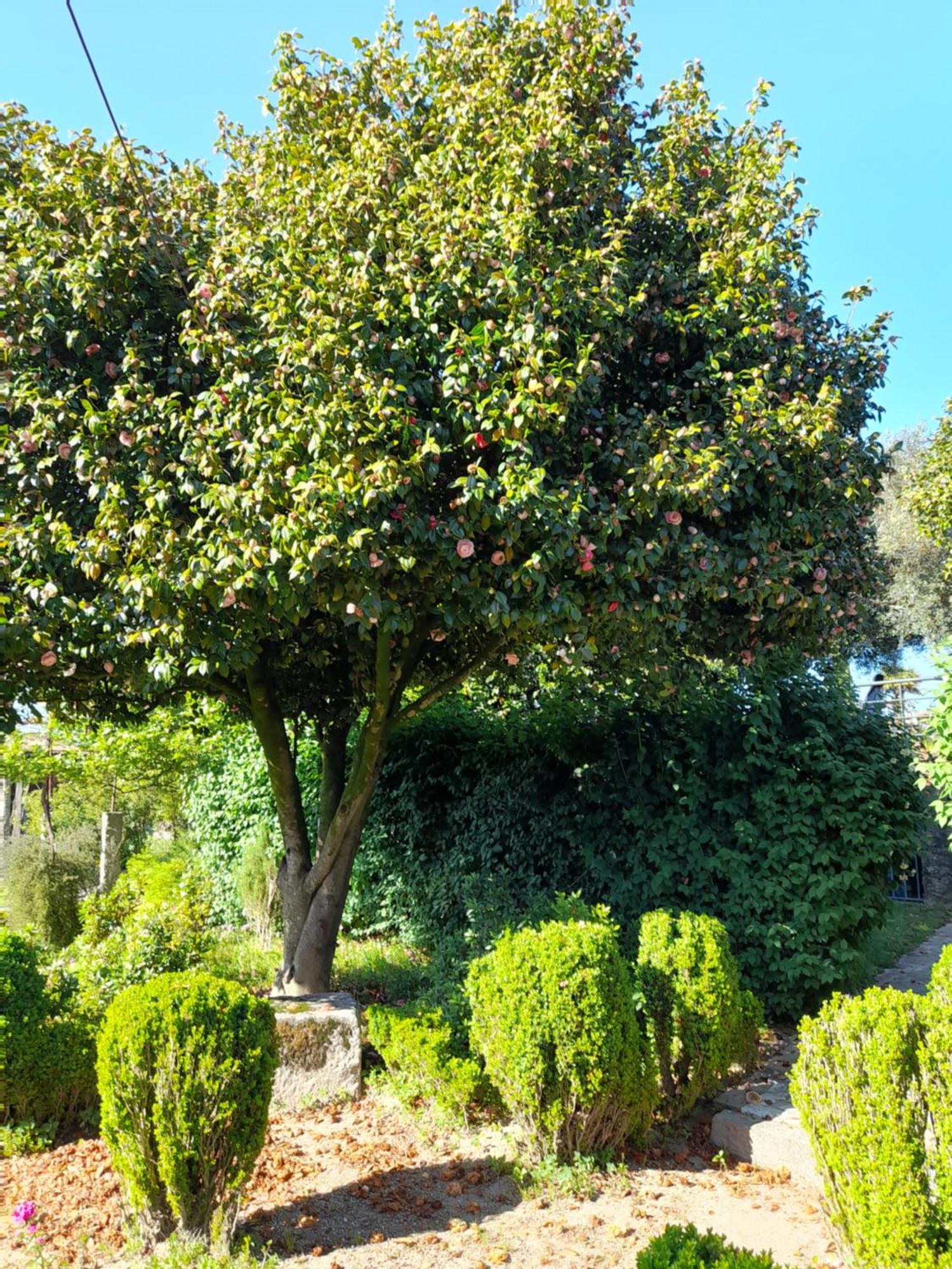 Quinta Da Mainha - Charming Houses - Escape To Nature Braga Esterno foto