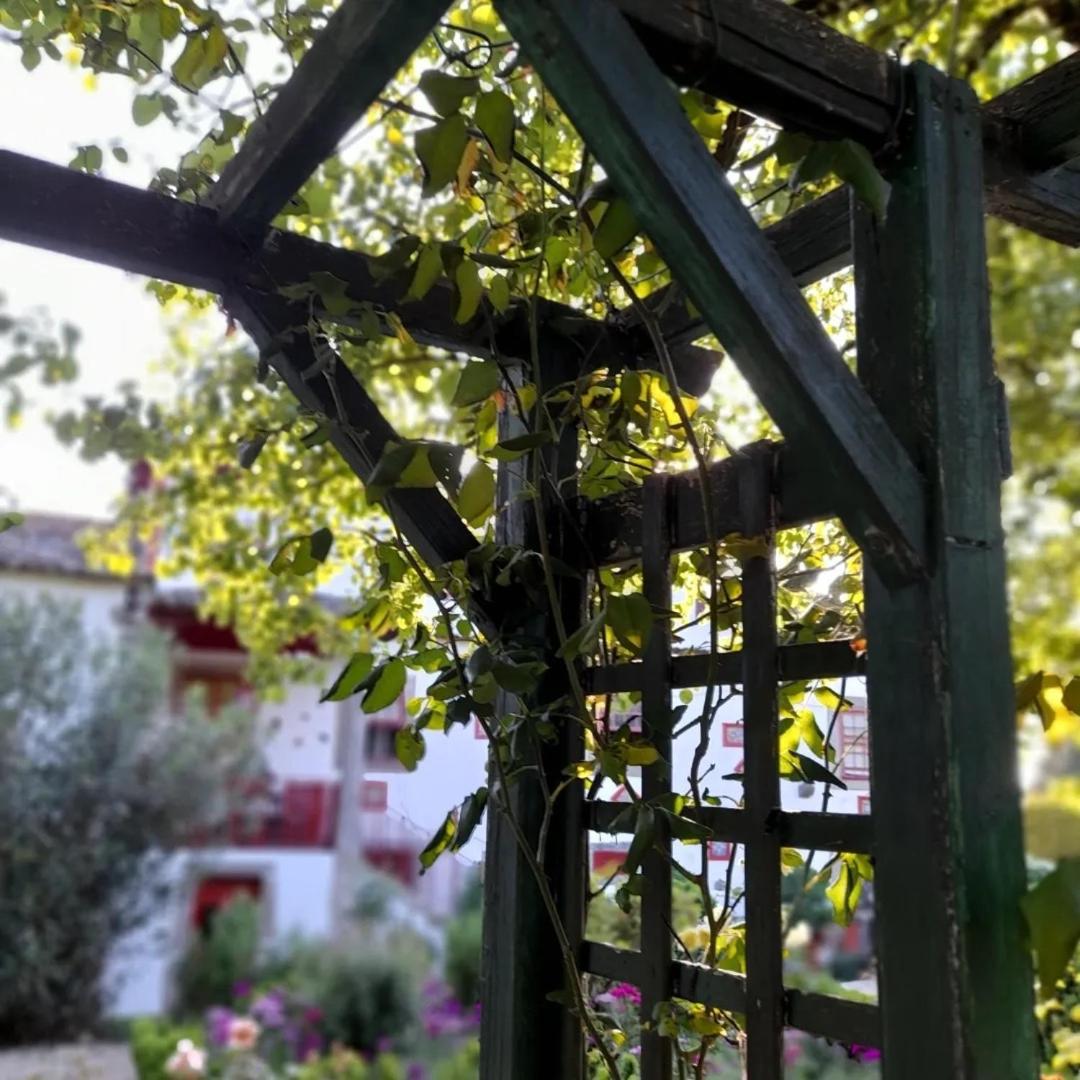 Quinta Da Mainha - Charming Houses - Escape To Nature Braga Esterno foto