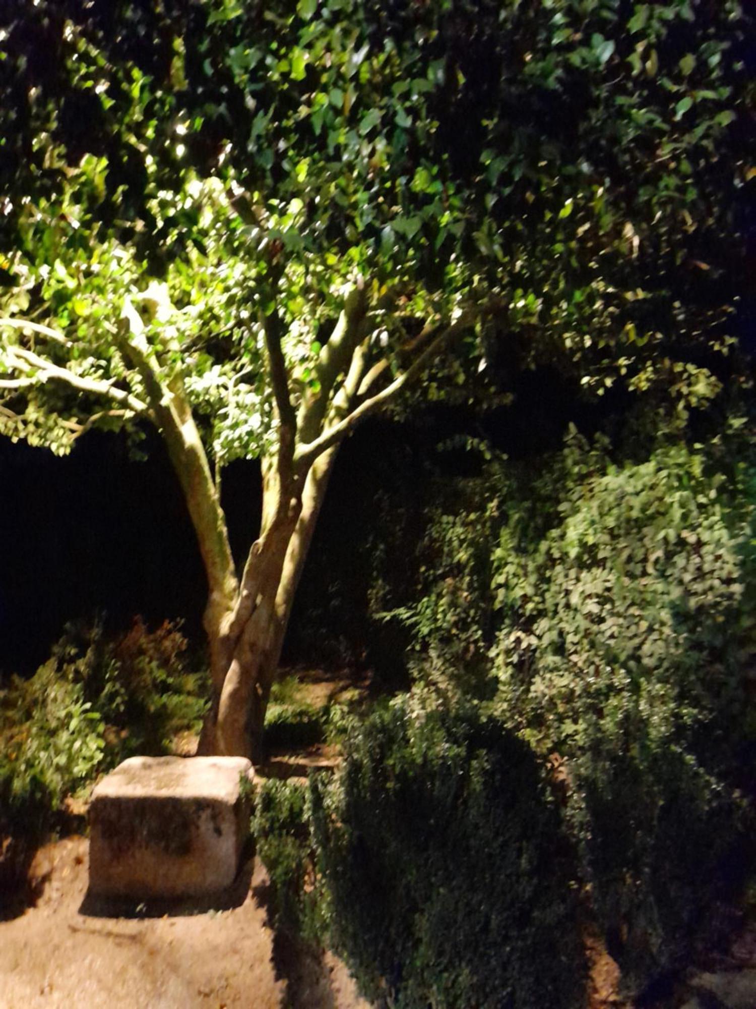 Quinta Da Mainha - Charming Houses - Escape To Nature Braga Esterno foto