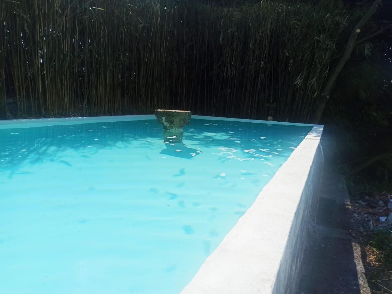 Quinta Da Mainha - Charming Houses - Escape To Nature Braga Esterno foto