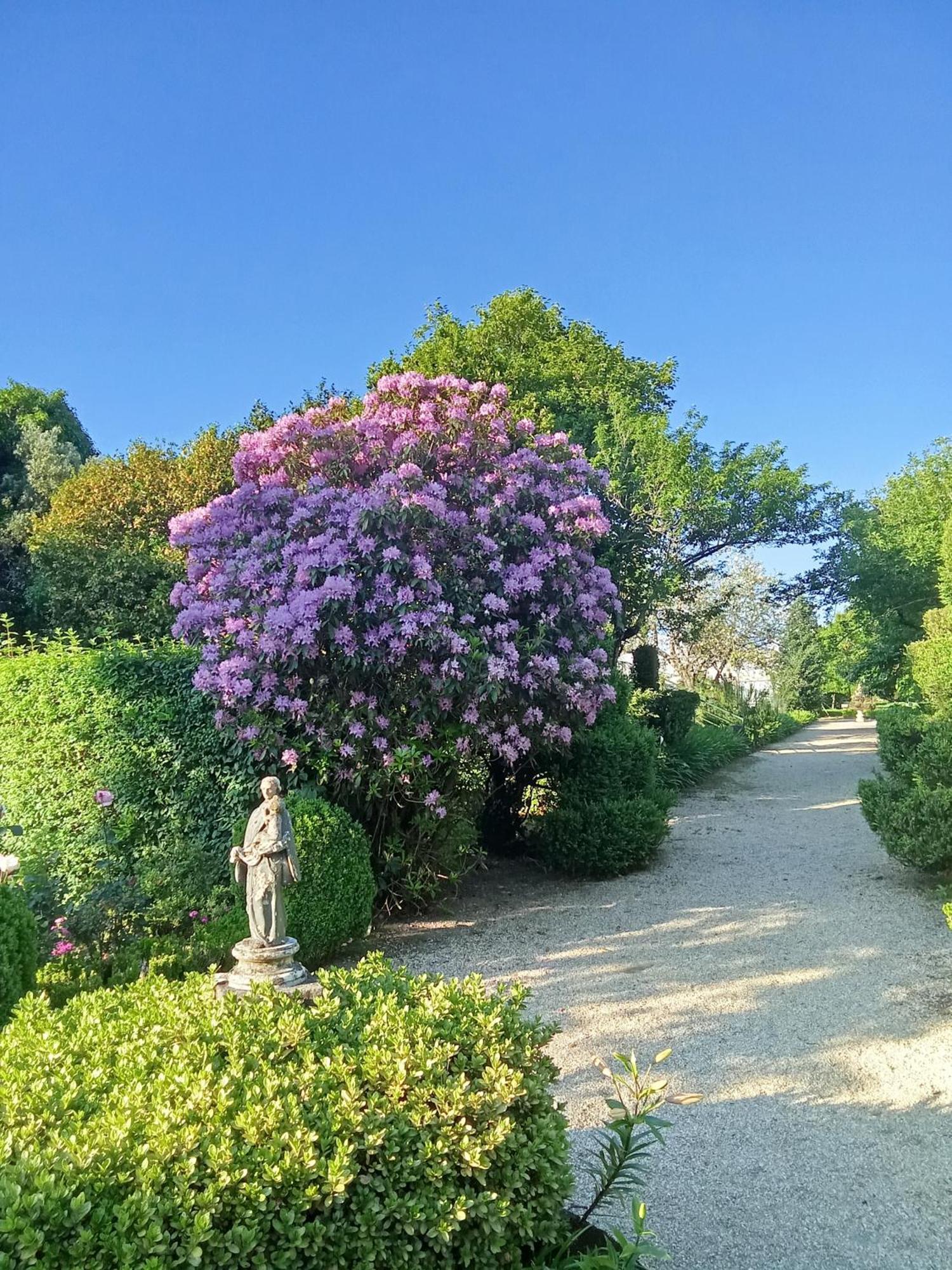 Quinta Da Mainha - Charming Houses - Escape To Nature Braga Esterno foto